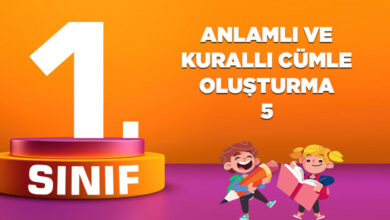 ANLAMLI VE KURALLI CÜMLE OLUŞTURMA