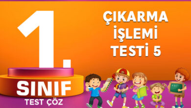 ÇIKARMA İŞLEMİ TESTİ 5