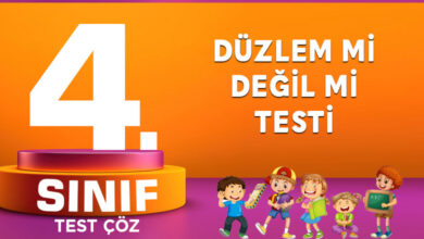 DÜZLEM Mİ DEĞİL Mİ TESTİ