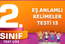 EŞ ANLAMLI KELİMELER TESTİ 13