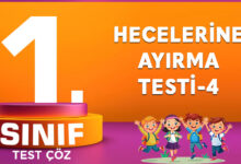 Hecelerine Ayırma Testi-4
