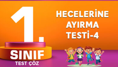 Hecelerine Ayırma Testi-4