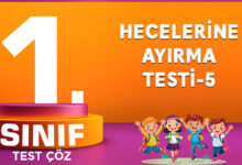 Hecelerine Ayırma Testi-5