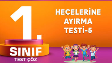 Hecelerine Ayırma Testi-5