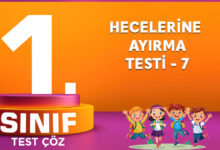 Hecelerine Ayırma Testi 7