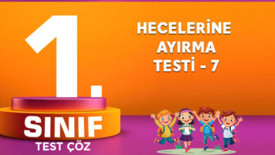 Hecelerine Ayırma Testi 7
