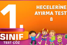 Hecelerine Ayırma Testi 8