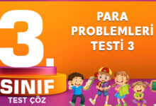 Para Problemleri Testi 3