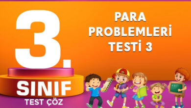 Para Problemleri Testi 3