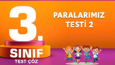 Paralarımız Testi 2