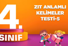 ZIT ANLAMLI KELİMELER TESTİ-5