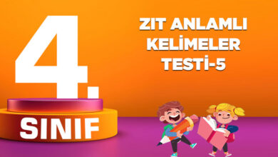ZIT ANLAMLI KELİMELER TESTİ-5