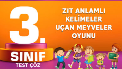 ZIT ANLAMLI KELİMELER UÇAN MEYVELER OYUNU