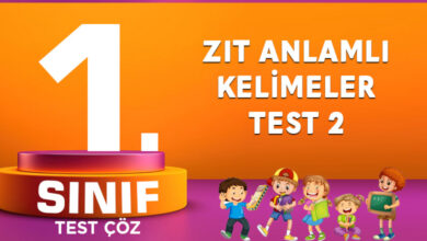 Zıt Anlamlı Kelimeler Test 2