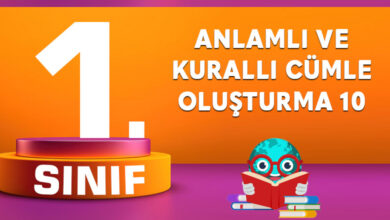 1. SINIF ANLAMLI VE KURALLI CÜMLE OLUŞTURMA 10