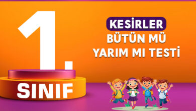 1. SINIF KESİRLER BÜTÜN MÜ YARIM MI TESTİ