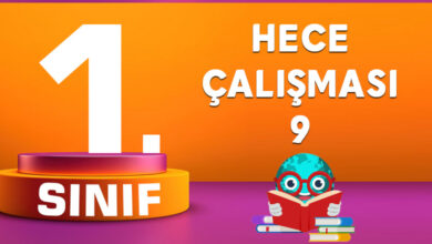 1. Sınıf Hece Çalışması 9