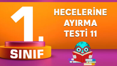 1. Sınıf Hecelerine Ayırma Testi 11