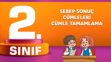 2. Sınıf Sebep Sonuç Cümleleri Cümle Tamamlama
