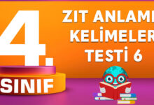 4. SINIF ZIT ANLAMLI KELİMELER TESTİ 6