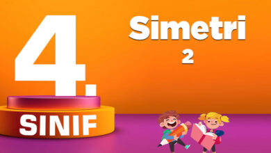 4. sınıf simetri 2