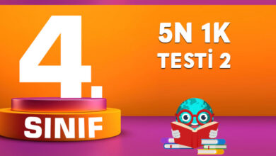 5N 1K Testi 2