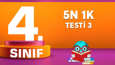 4. SINIF TÜRKÇE 5N 1K Testi 3