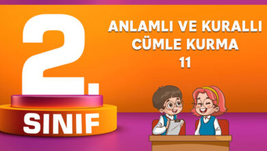 ANLAMLI VE KURALLI CÜMLE KURMA 11