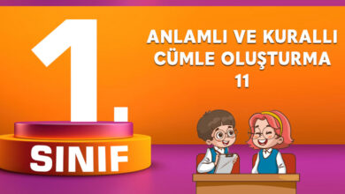 ANLAMLI VE KURALLI CÜMLE OLUŞTURMA 11