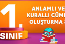 ANLAMLI VE KURALLI CÜMLE OLUŞTURMA 8