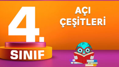 Açı Çeşitleri