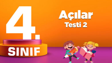 Açılar Testi 2
