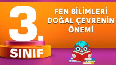 Fen Bilimleri Doğal Çevrenin Önemi