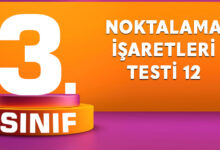 NOKTALAMA İŞARETLERİ TESTİ 12