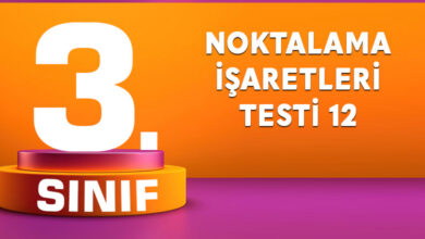 NOKTALAMA İŞARETLERİ TESTİ 12