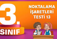 NOKTALAMA İŞARETLERİ TESTİ 13