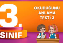 OKUDUĞUNU ANLAMA TESTİ 3