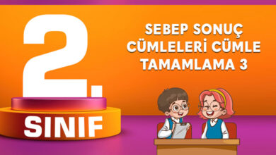 Sebep Sonuç Cümleleri Cümle Tamamlama 3