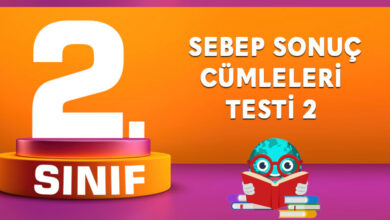 Sebep Sonuç Cümleleri Testi 2