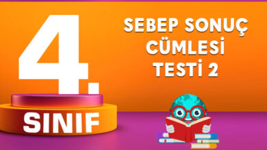 Sebep Sonuç Cümlesi Testi 2