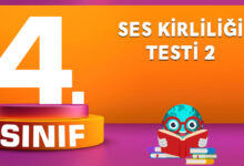 Ses Kirliliği Testi 2