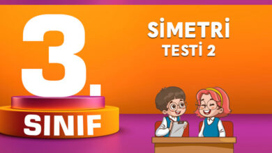Simetri Testi 2