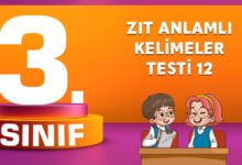 ZIT ANLAMLI KELİMELER TESTİ 12