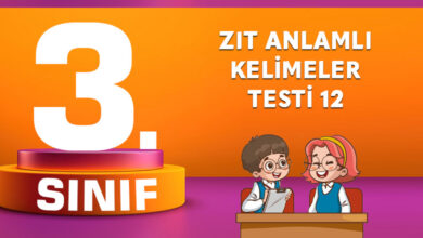ZIT ANLAMLI KELİMELER TESTİ 12