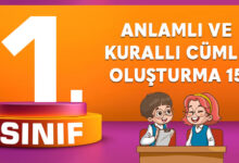 1. SINIF ANLAMLI VE KURALLI CÜMLE OLUŞTURMA 15