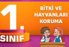 1. Sınıf Bitki ve Hayvanları Koruma