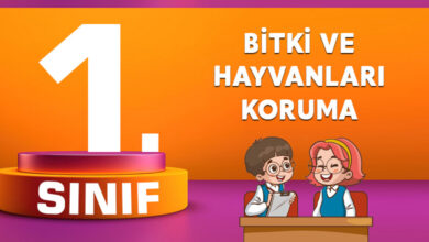 1. Sınıf Bitki ve Hayvanları Koruma