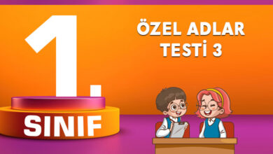 1. Sınıf Özel Adlar Testi 3