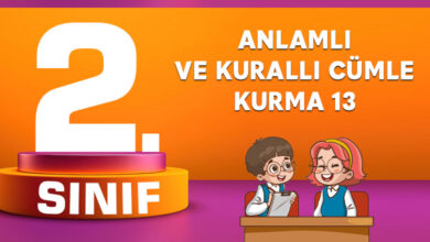 2. SINIF ANLAMLI VE KURALLI CÜMLE KURMA 13