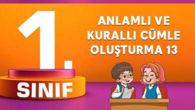 ANLAMLI VE KURALLI CÜMLE OLUŞTURMA 13